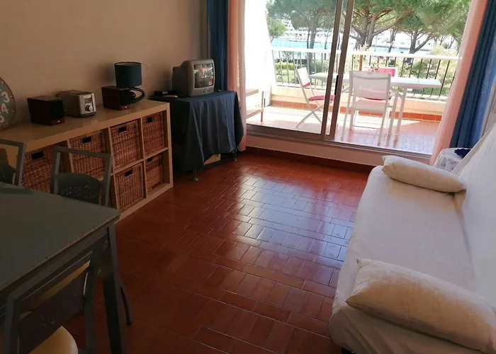 Avec Terrasse, Piscine Et Parking - Port Camargue - Fr-1-731-91 *